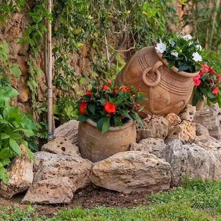 Casa Fuster San Agustín