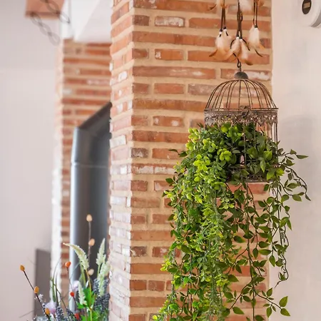 Gospodarstwo wiejskie Casa Fuster